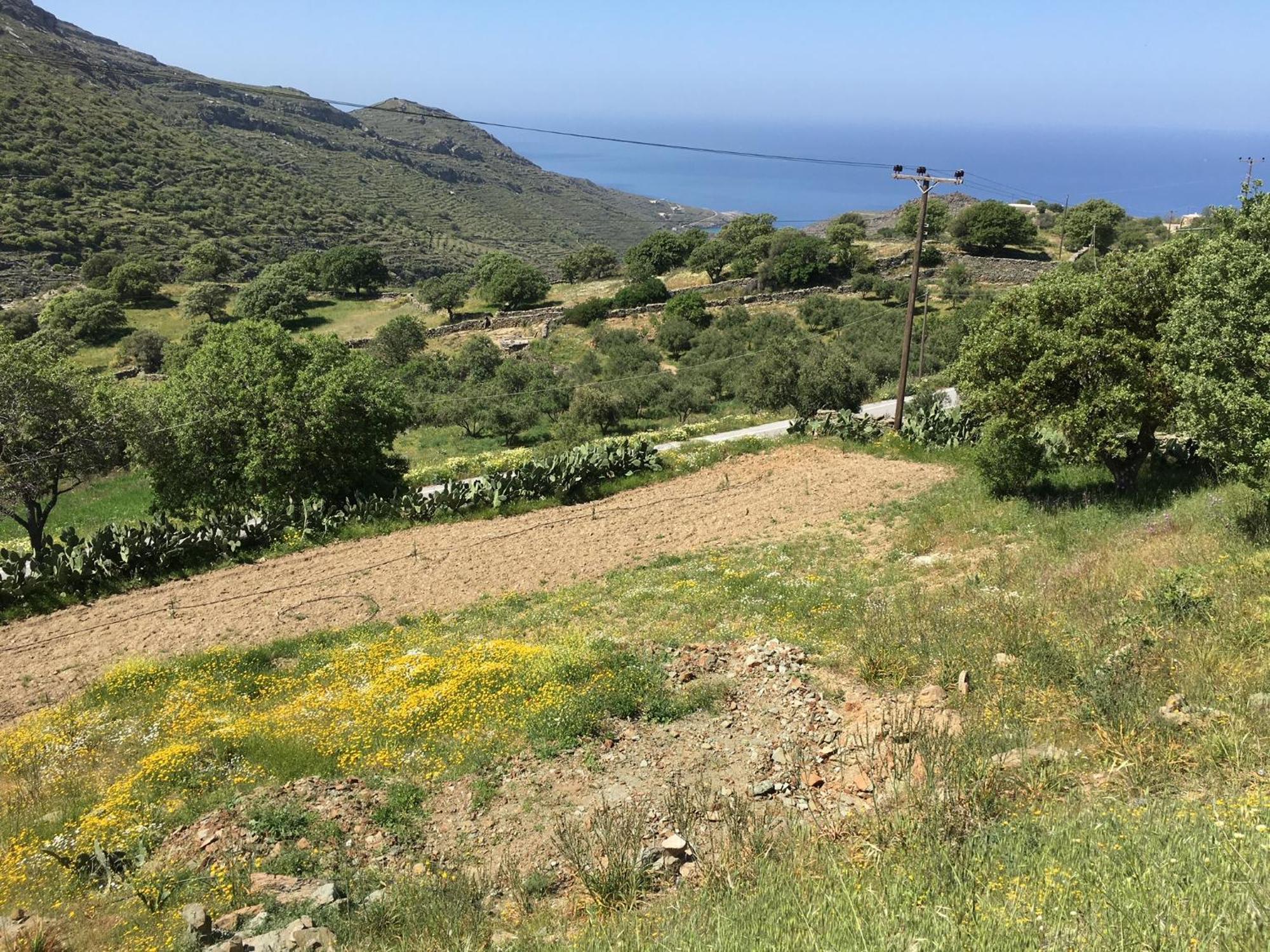 Rural Guest House B&B Chavouna Exteriér fotografie