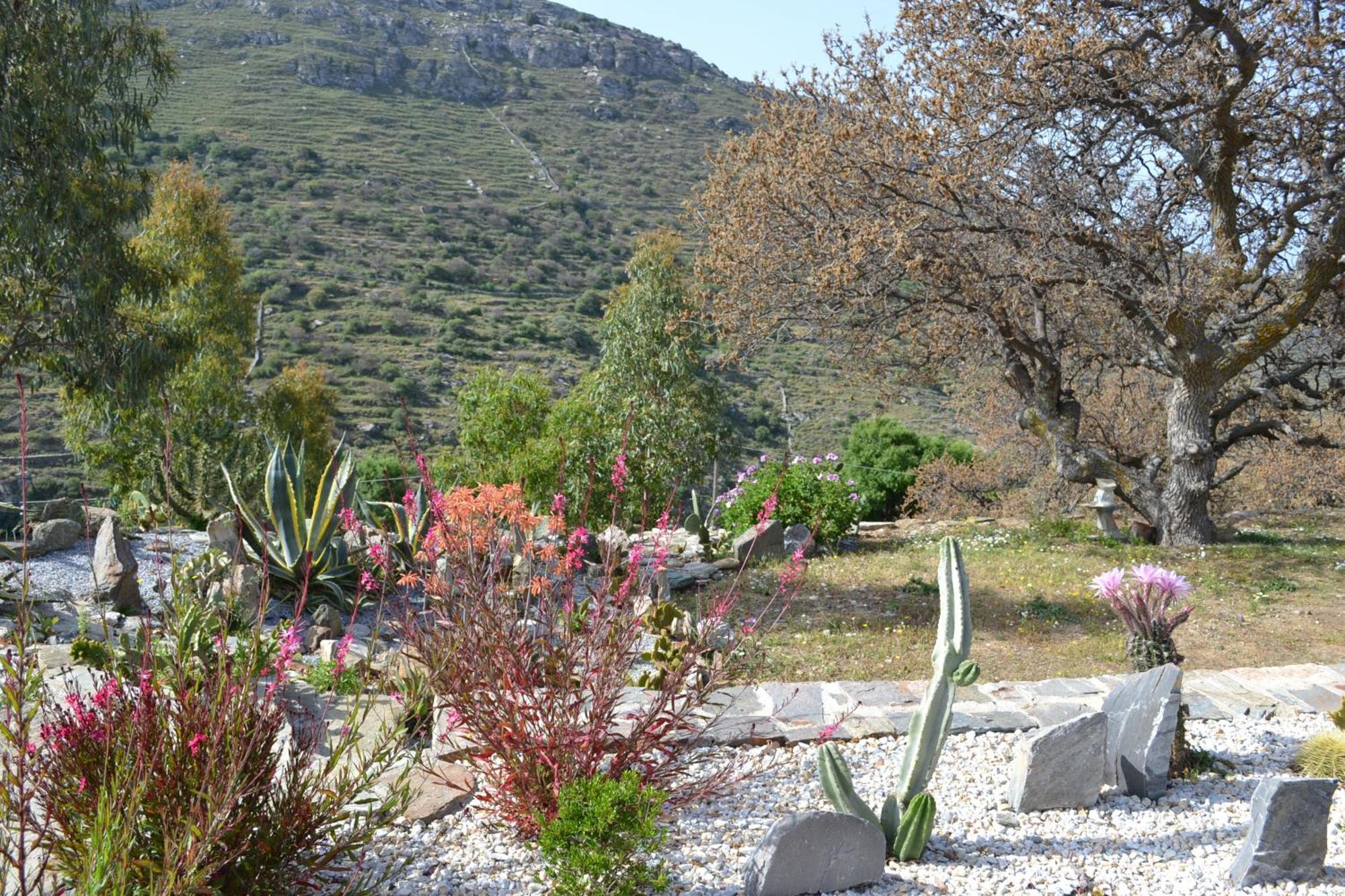 Rural Guest House B&B Chavouna Exteriér fotografie